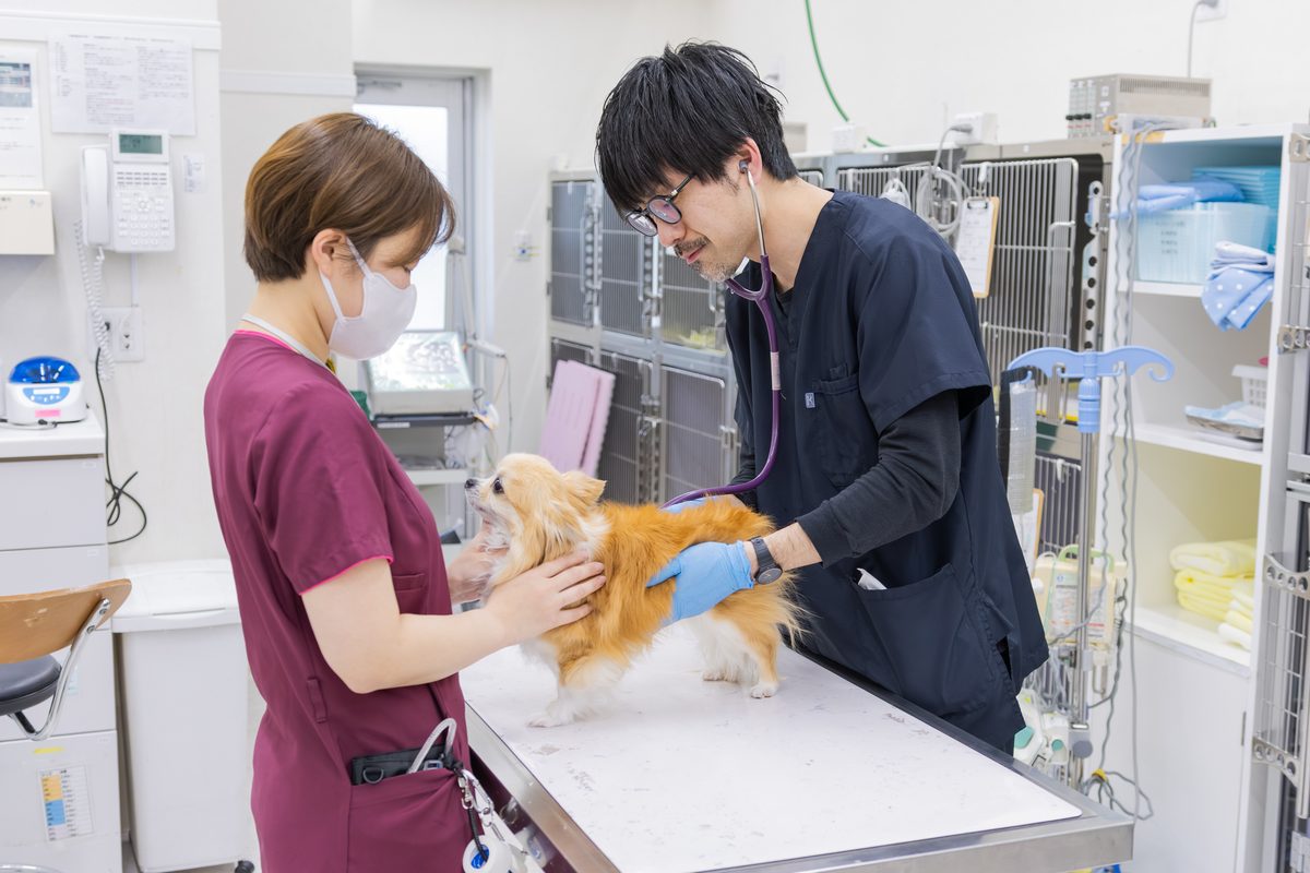 動物病院
