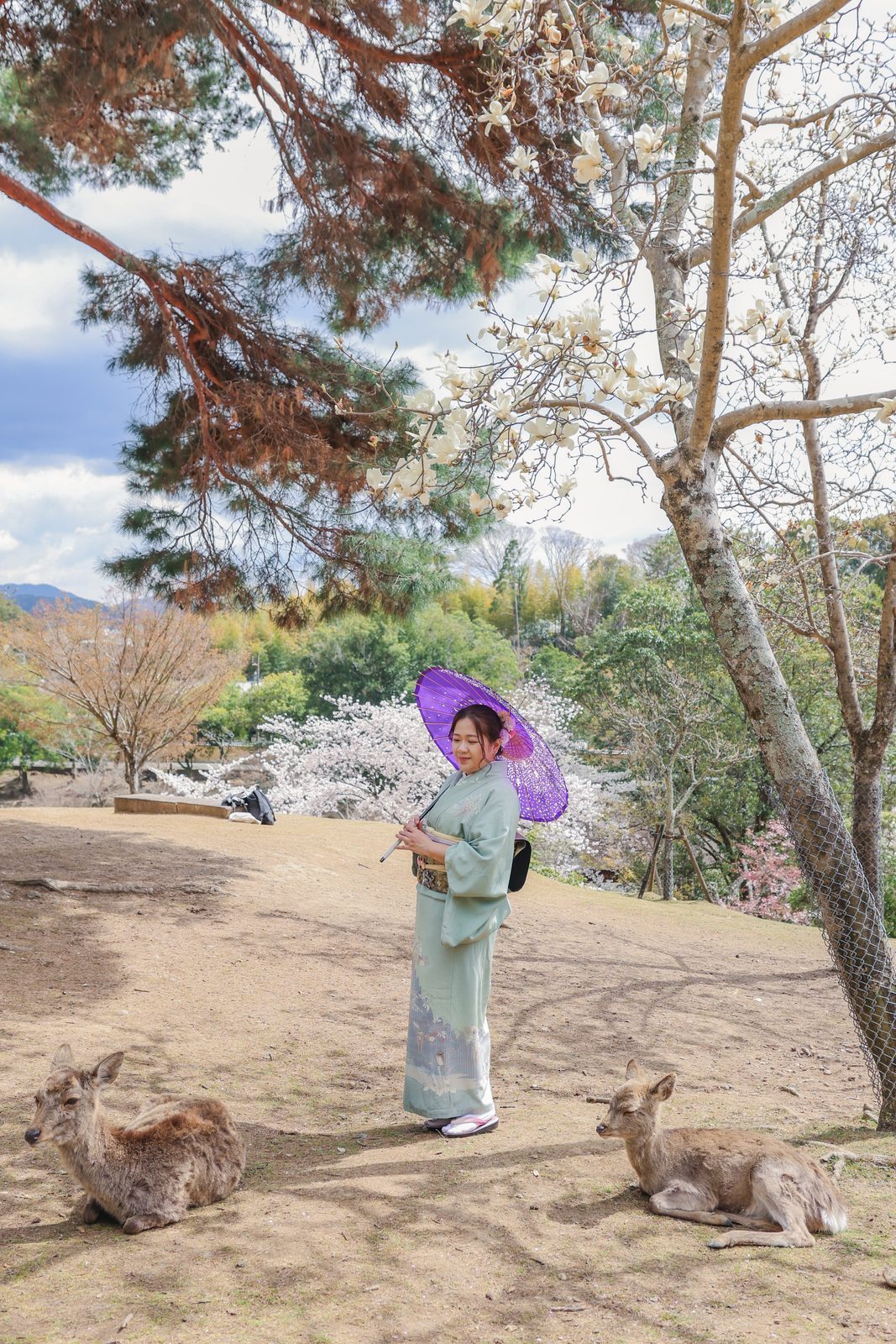 着物ポートレート