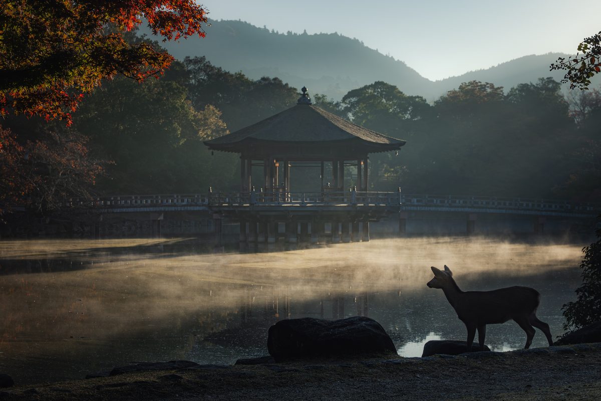 風景