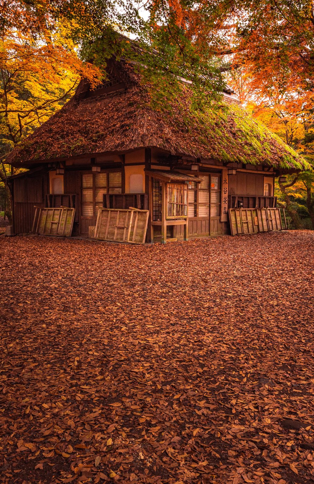 風景スナップ