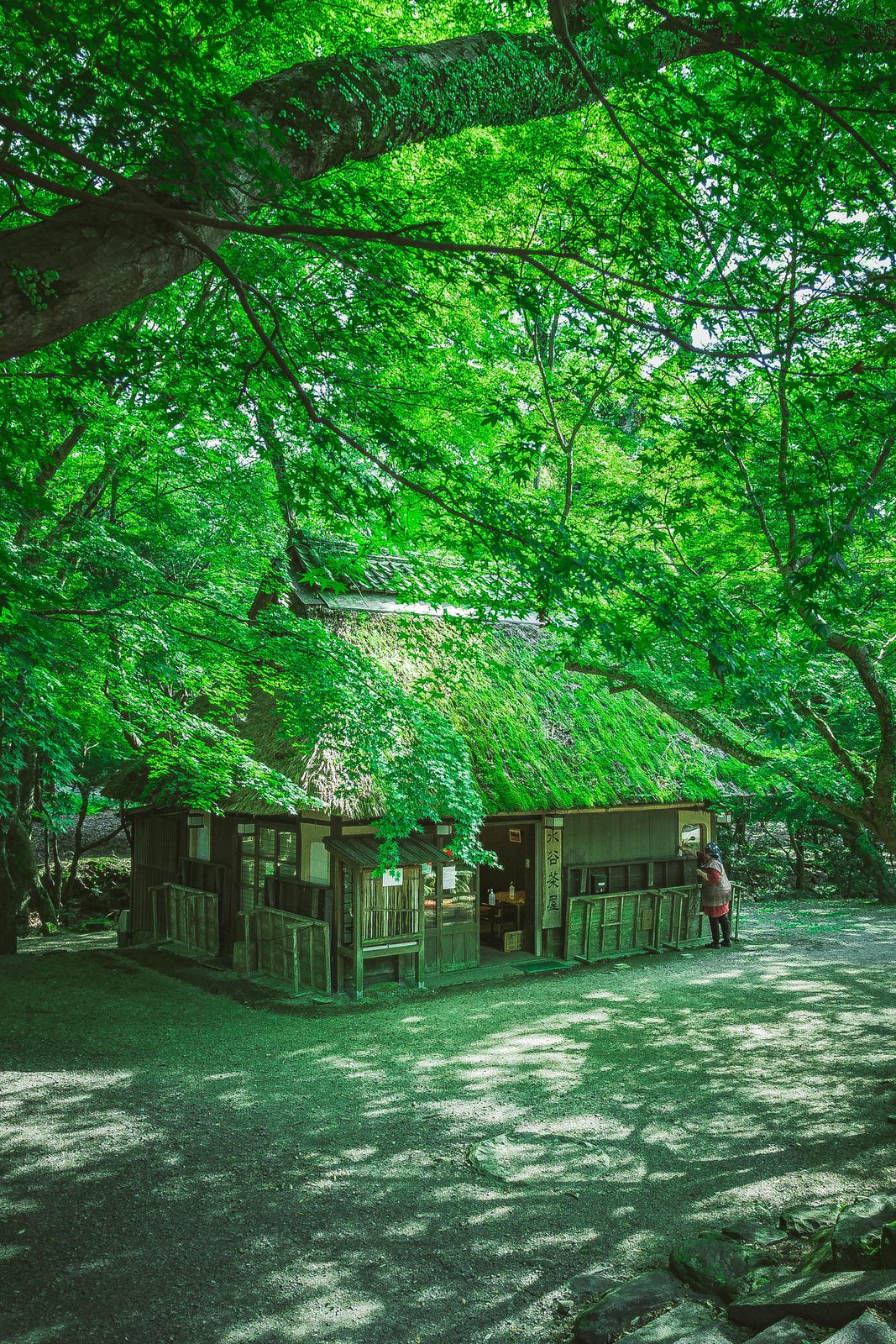 風景スナップ