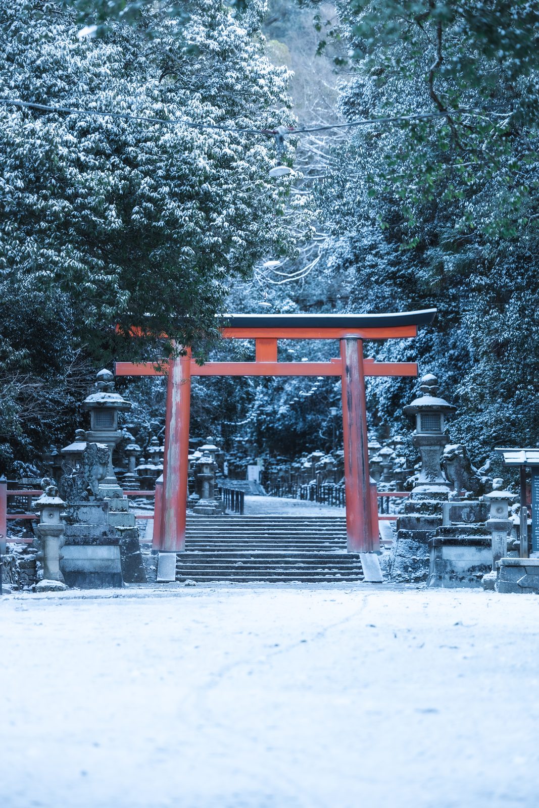 風景