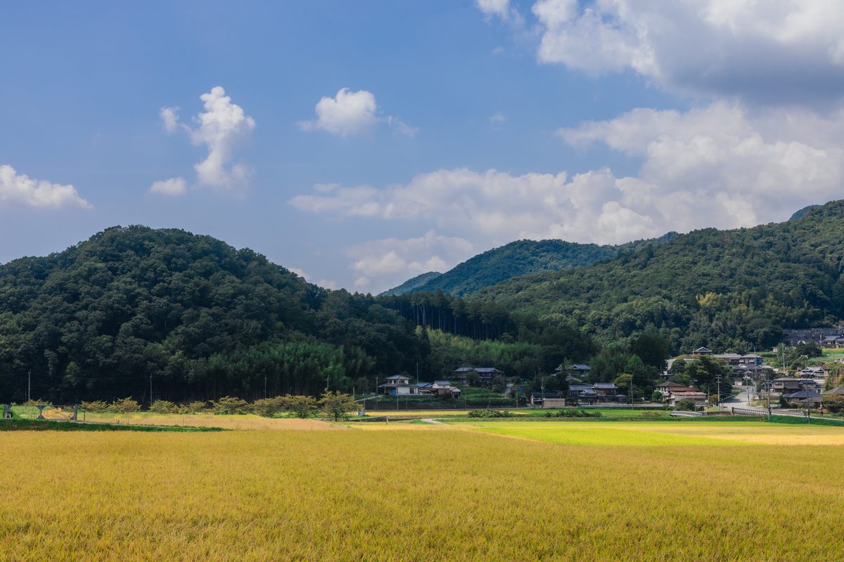 風景